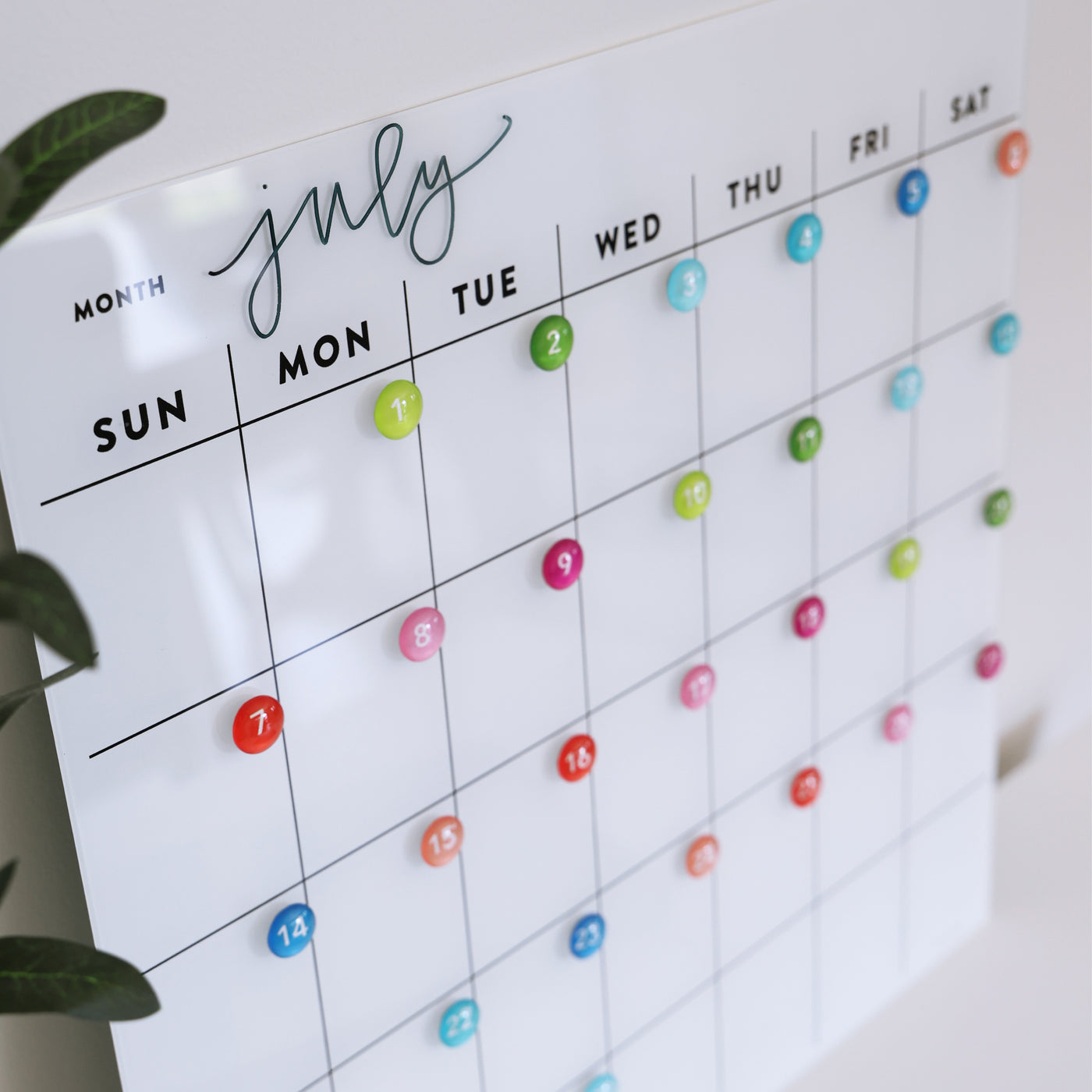 Dry erase wall calendar - perfect for non-magnetic fridge or dorm room wall