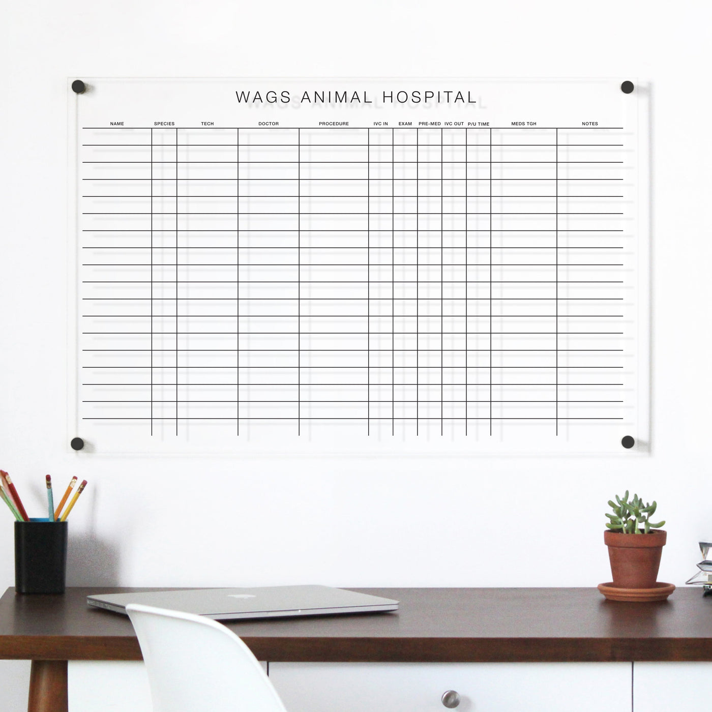 Veterinary Clear Acrylic Whiteboard