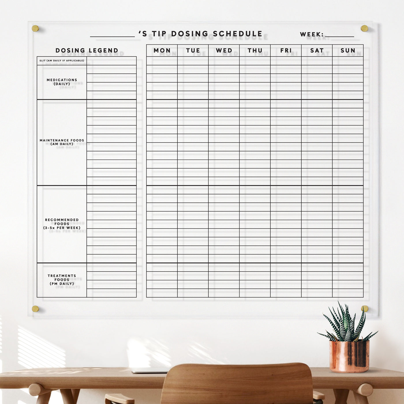 Dosing Schedule Board for Caregiver | Clear Acrylic Whiteboard