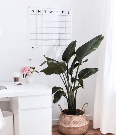 Acrylic Calendar with bottom notes - 50% off!